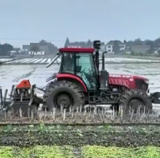 您負責統籌全局，它負責腳踏實地